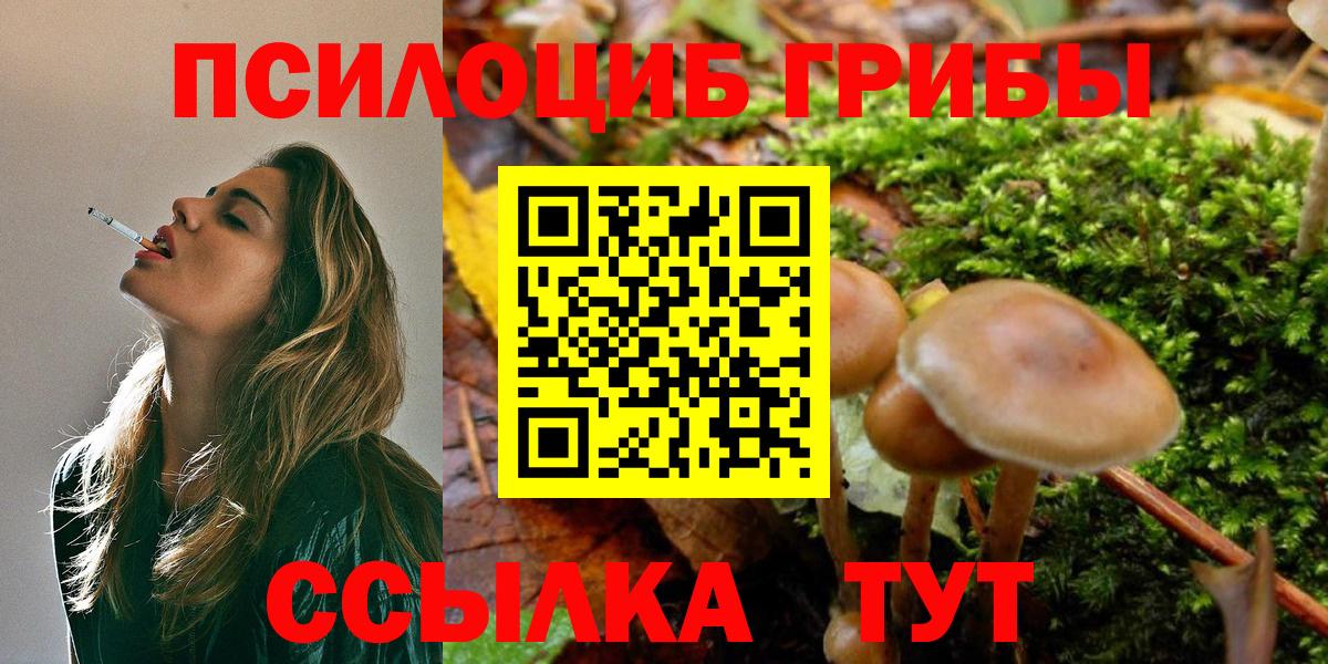 Галлюциногенные грибы ЛСД  Вход с VPN  Азнакаево 